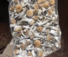 MAGIC SHROOMS