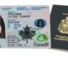 Authentic passports REGISTERED DATABASE DOCUMENTS