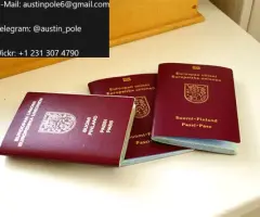 FINNILAND PASSPORT ONLINE